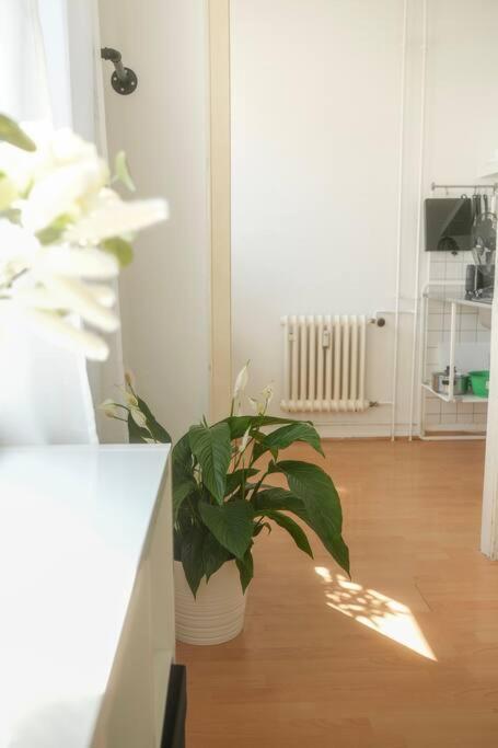 Stadtoase Wohnung Nahe Hauptbahnhof كوبلنس المظهر الخارجي الصورة